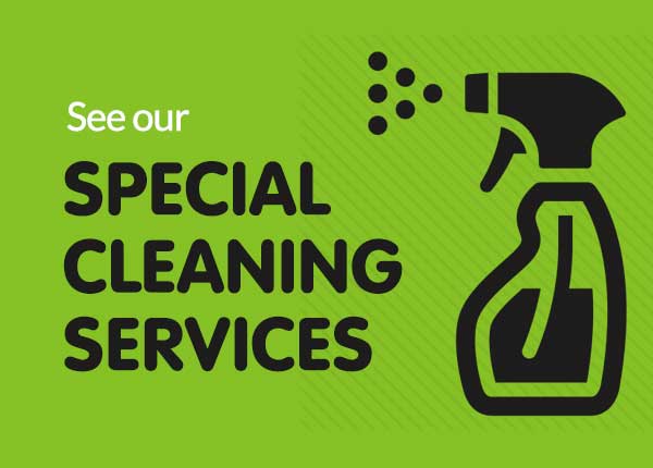 cleaning services